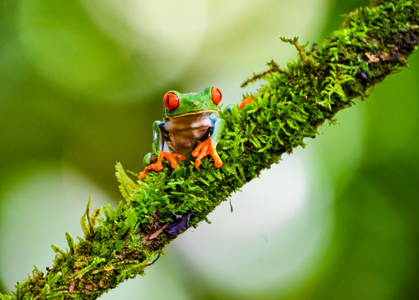 Jak se fotí Kostarika