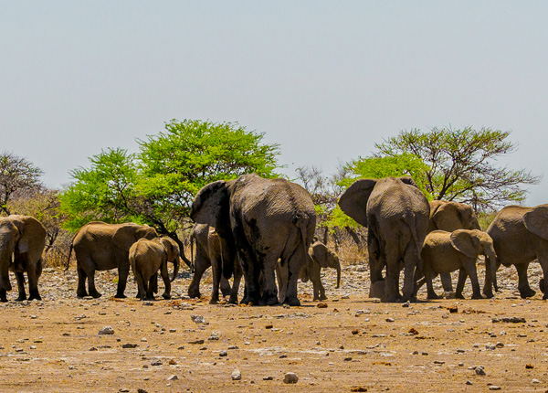 Namibie 2021