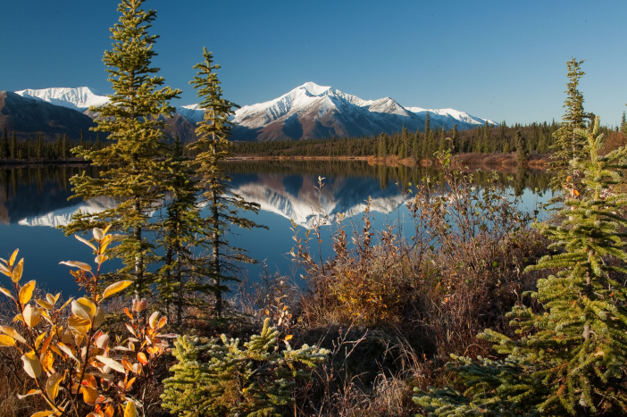 Aljaška - fotoexpedice za medvědy
