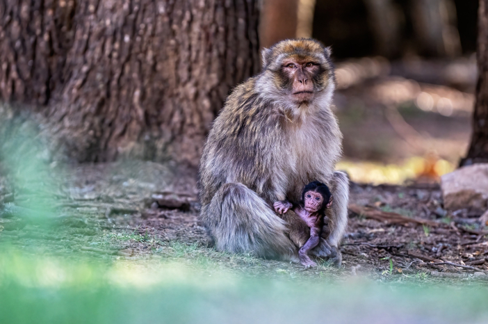 Do Maroka s Lukášem Zemanem