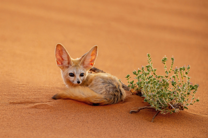 Do Maroka s Lukášem Zemanem