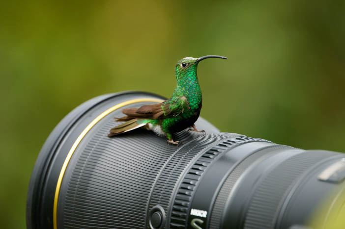 Fotoexpedice Ekvádor a Galapágy