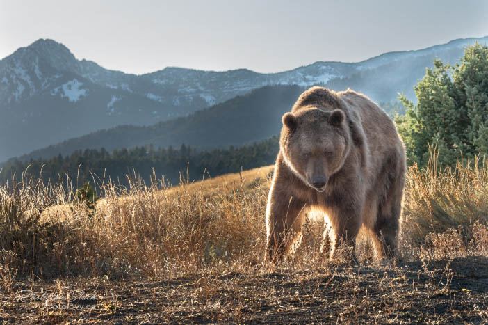 Fotoexpedice Yellowstone