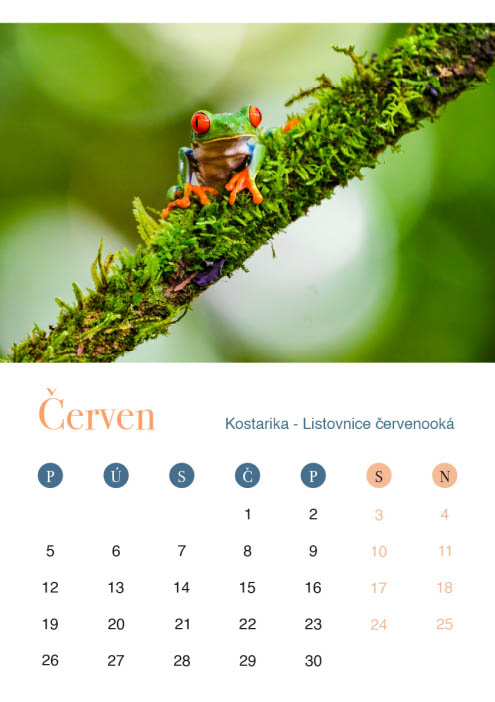 Kalendáře 2023 - Kolem světa