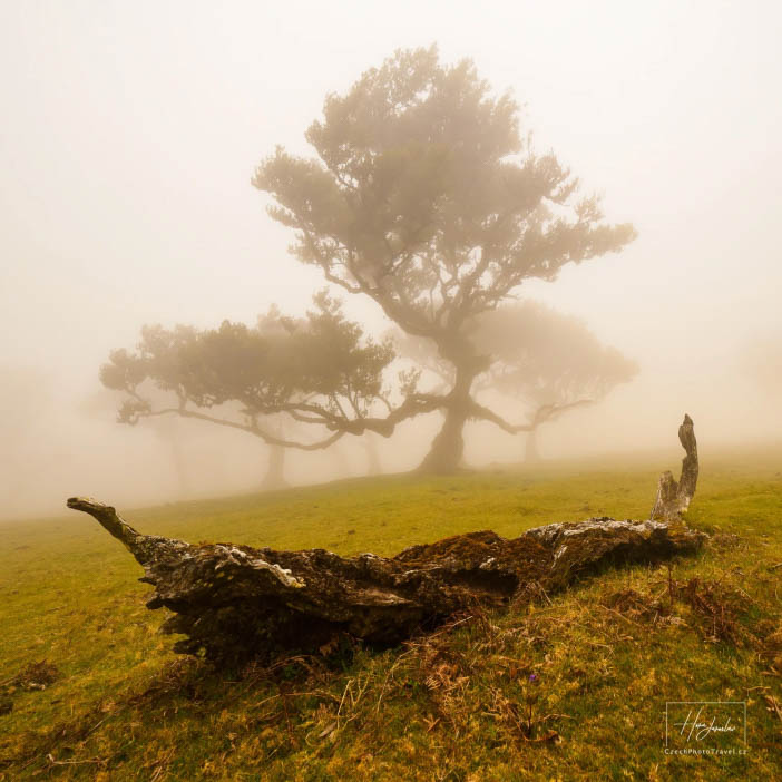 Madeira, ostrov věčného jara