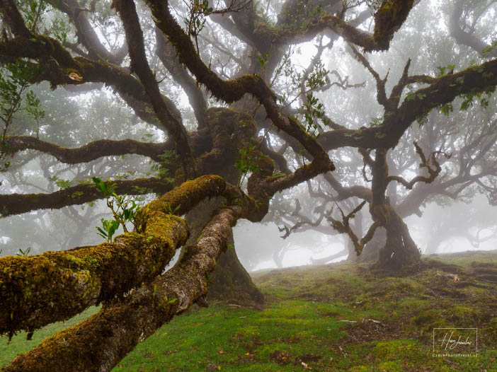 Madeira, ostrov věčného jara