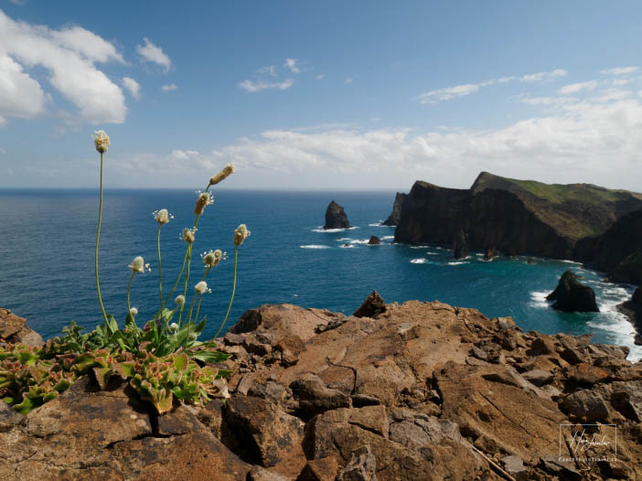 Madeira, ostrov věčného jara