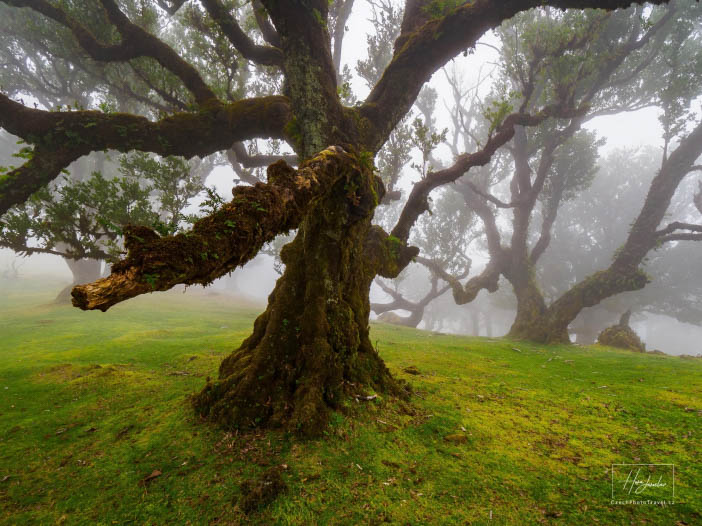 Madeira, ostrov věčného jara