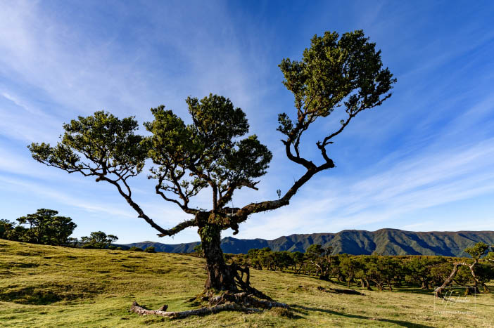 Madeira, ostrov věčného jara
