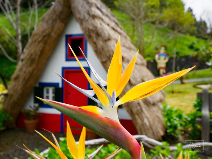 Madeira, ostrov věčného jara