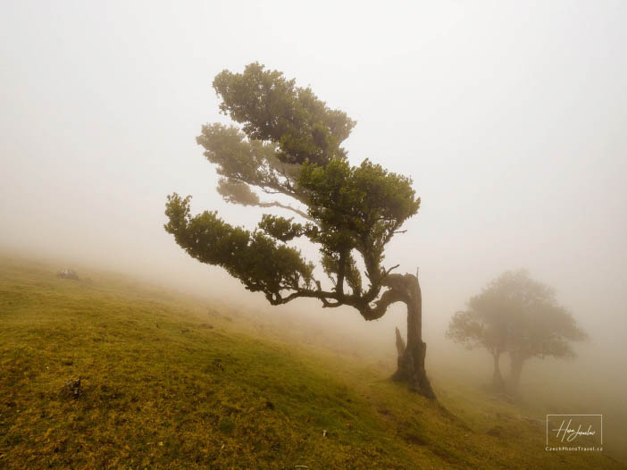 Madeira, ostrov věčného jara