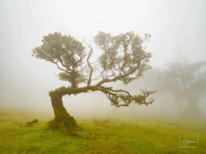 Madeira, ostrov věčného jara