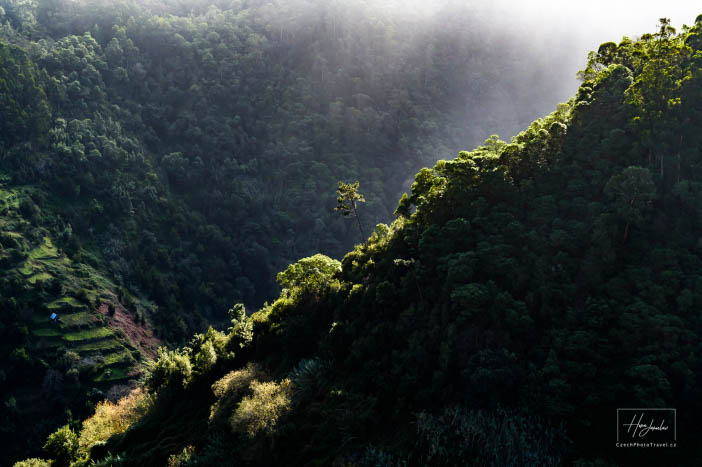 Madeira, ostrov věčného jara