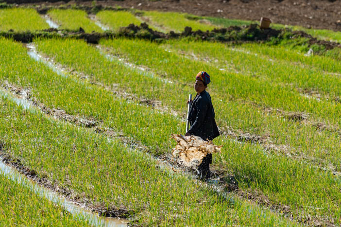 Myanmar / Barma - fotoexpediční mapovačka