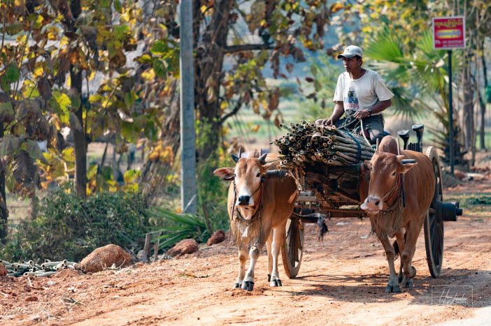Myanmar / Barma - fotoexpediční mapovačka