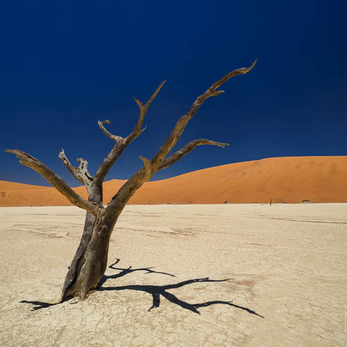 Namibie 2021