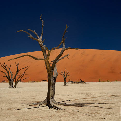 Namibie 2021