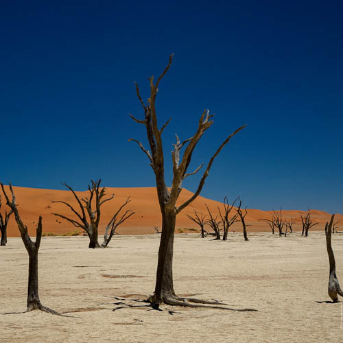 Namibie 2021