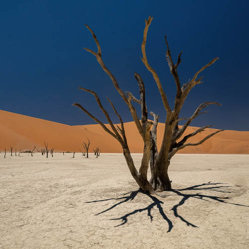 Namibie 2021