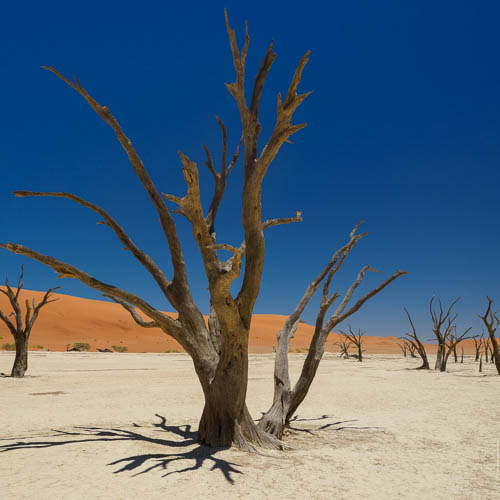Namibie 2021