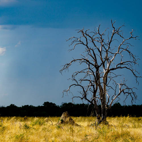 Namibie 2021