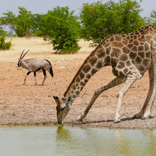 Namibie 2021