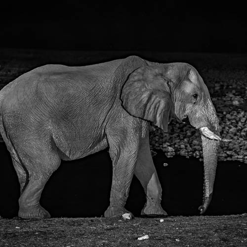 Namibie 2021