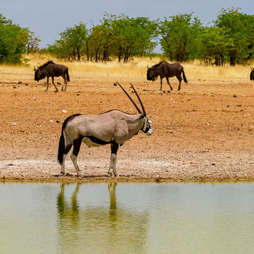 Namibie 2021