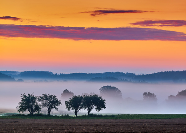 Vysočina